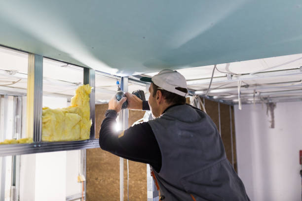 Best Specialized Insulation Services in St Clair, MO