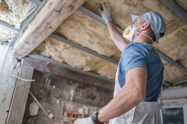 Best Insulation Maintenance and Repair in St Clair, MO